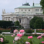 Roses in Burggarten