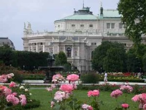 Roses in Burggarten