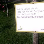 Love Letter on Roses in Vienna's Volksgarten