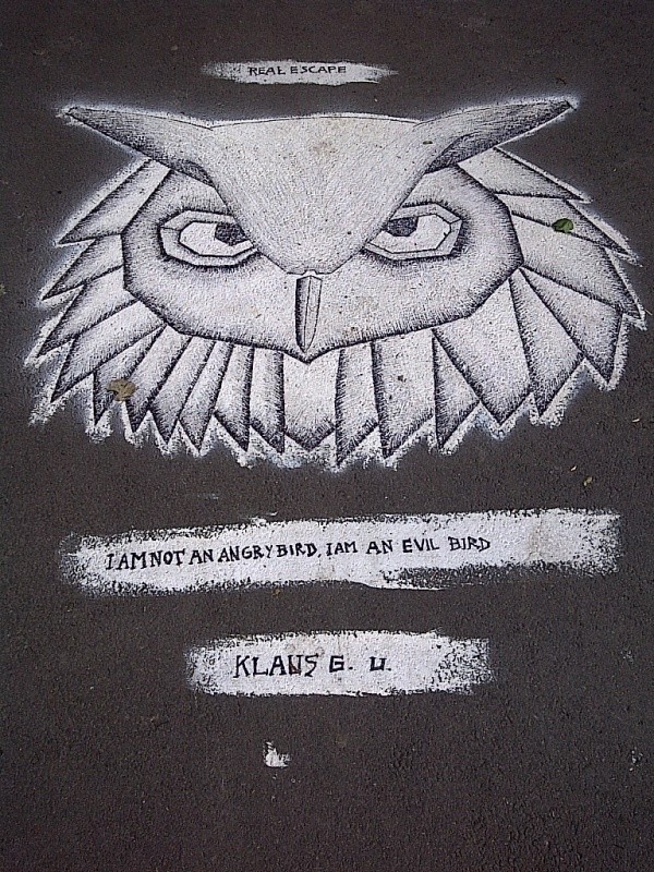 I am not an Angry Bird, I am an Evil Bird - Klaus G.U. Pavement Danube Kanal, Vienna, Austria, 2014