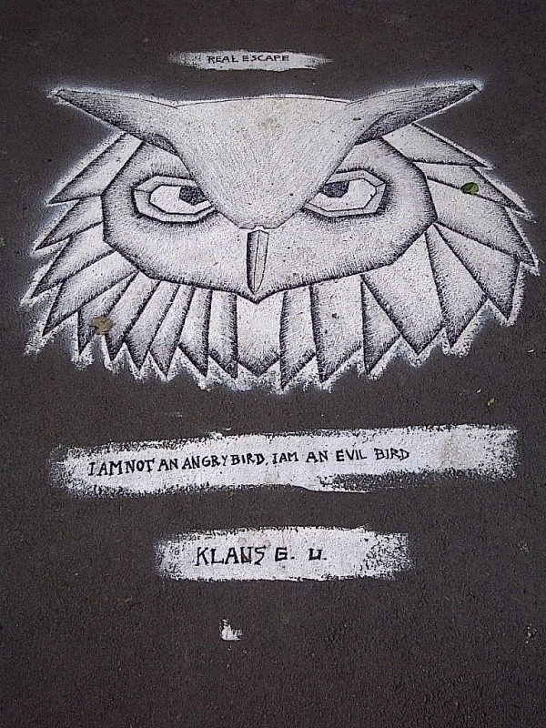 I am not an Angry Bird, I am an Evil Bird - Klaus G.U. Pavement Danube Kanal, Vienna, Austria, 2014