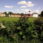 Augarten, 2nd District, Vienna Boys Choir, Porcelain Factory, Park