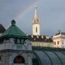 Vienna Butterfly House (Schmetterlinghaus)