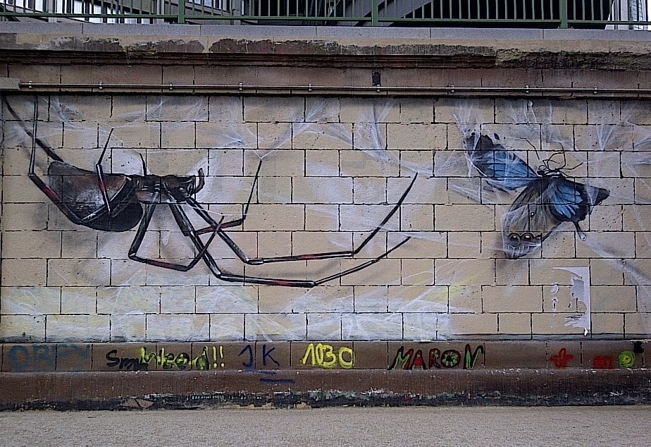 Black widow web graffiti, Donaukanal, Vienna, Austria, 2014