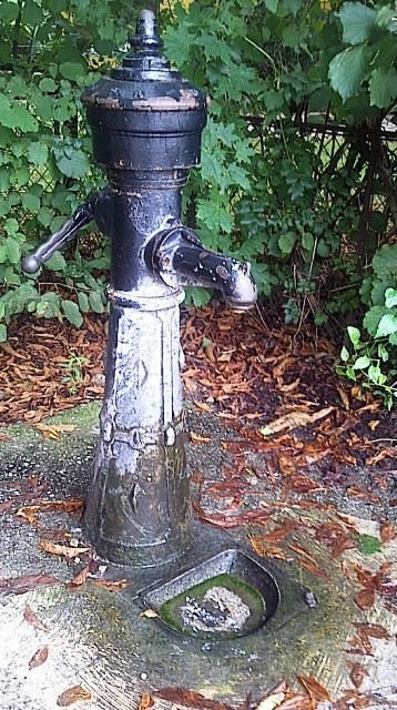 Drinking water is available along the paths of Praters