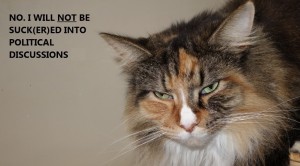 Cat Against Politics