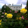 Volksgarten Roses