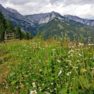 Hochschwab Hike