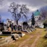 Zentralfriedhof Wien